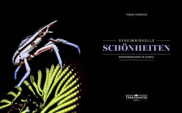 Thumbnail - Geheimnisvolle Schönheiten