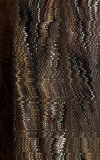 Fables of Aesop | Samuel Croxall | Buch | Gebunden | Englisch | 2008