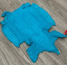 Turquoise Genuine Caiman Crocodile belly Hide Leather Skin alligator Croc 612