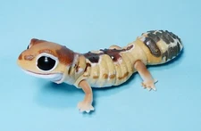 Bandai Animal Encyclopedia African fat-tailed gecko Zulu mini figure US seller