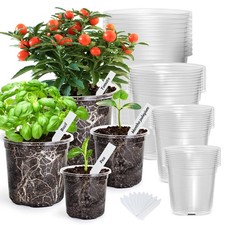 Bonviee 36 Packs 7/5/4/3.5 Inch Clear 3.5/4/5/6.7 Inch-without Lid, 