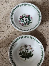 2 Portmeirion Botanic Garden Cereal/ Oatmeal Bowls Daisy & Rhodoendron