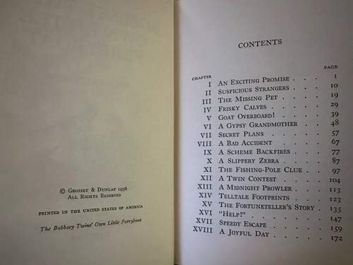 SET MIT SIEBEN BOBBSEY ZWILLINGEN HARDCOVER BÜCHERN - Bild 12 von 18