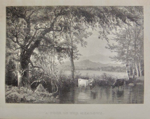 The Ladies' Repository for 1866, fine engravings - Picture 8 of 13
