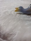 Bild 11 von 11