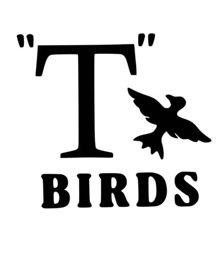 T BIRDS GREASE IRON ON TRANSFER STAG PARTY HEN DO HEAT TRANSFER FREE POSTAGE - Picture 2 of 2