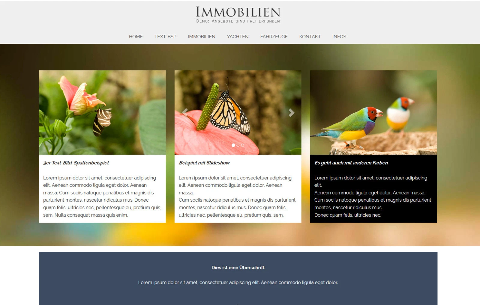 Bild 9 von 10
