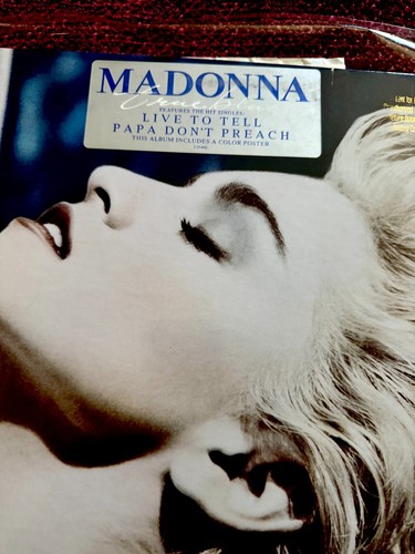 MADONNA TRUE BLUE 1986 PROMO PRESS PACK VINYL SEALED TAPE SIRE BIO FIRST EDITION - Bild 2 von 15