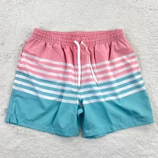 Chubbies Swim Trunks Shorts Men's XL / 32" Pink Blue Stripe Lined Drawstring