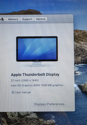 Apple Thunderbolt Display 27