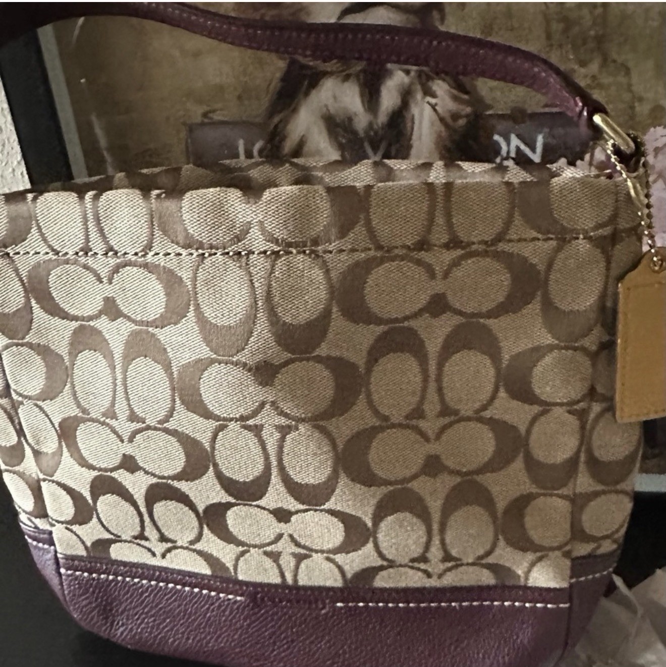 coach handbags-image