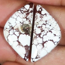 natural WILD HORSE pair cabochon loose gemstone 20.55 Carat. (11 x 26 x 04 mm)