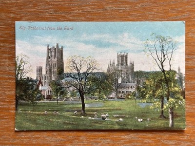 Antike Postkarte Ely Kathedrale vom Parkschaf Cambridgeshire Valentinstag