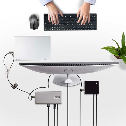 StarTech.com Laptop/Desktop & Peripheral Lock Kit, Theft-Deterring Security Lock - Photo 6/9