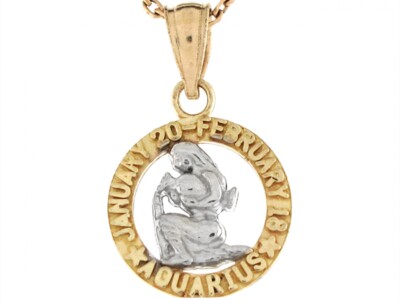 10k oder 14k Bicolor Echt Gold 1,8cm Sternzeichen Wassermann Mädchen Geburtstag Charm Anhänger