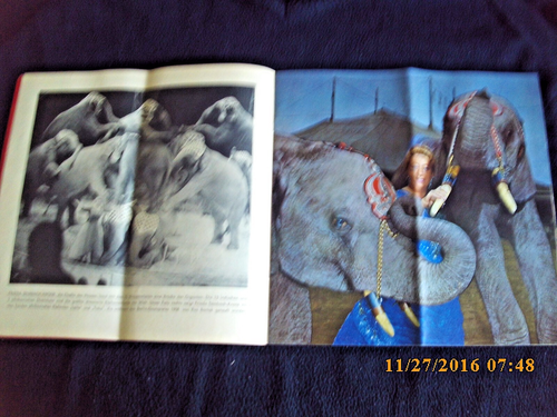 CIRCUS KRONE - ALTES PROGRAMMHEFT BERLIN 1963 MIT 44 SEITEN+ EINTRITTSKARTE!! - Bild 3 von 7