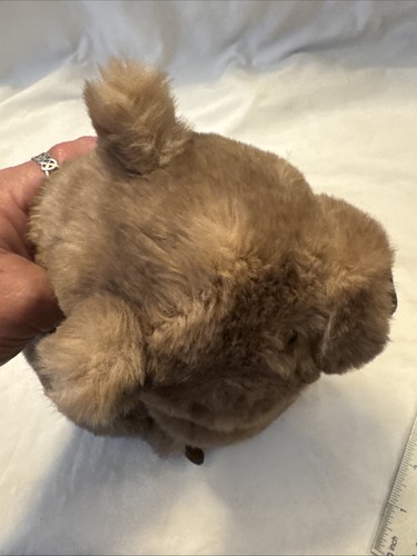 Autentico peluche Jellycat Wonda The Wombat nuovo con etichette 10” difficile da trovare spedizione veloce gratuita! - Foto 23 di 24