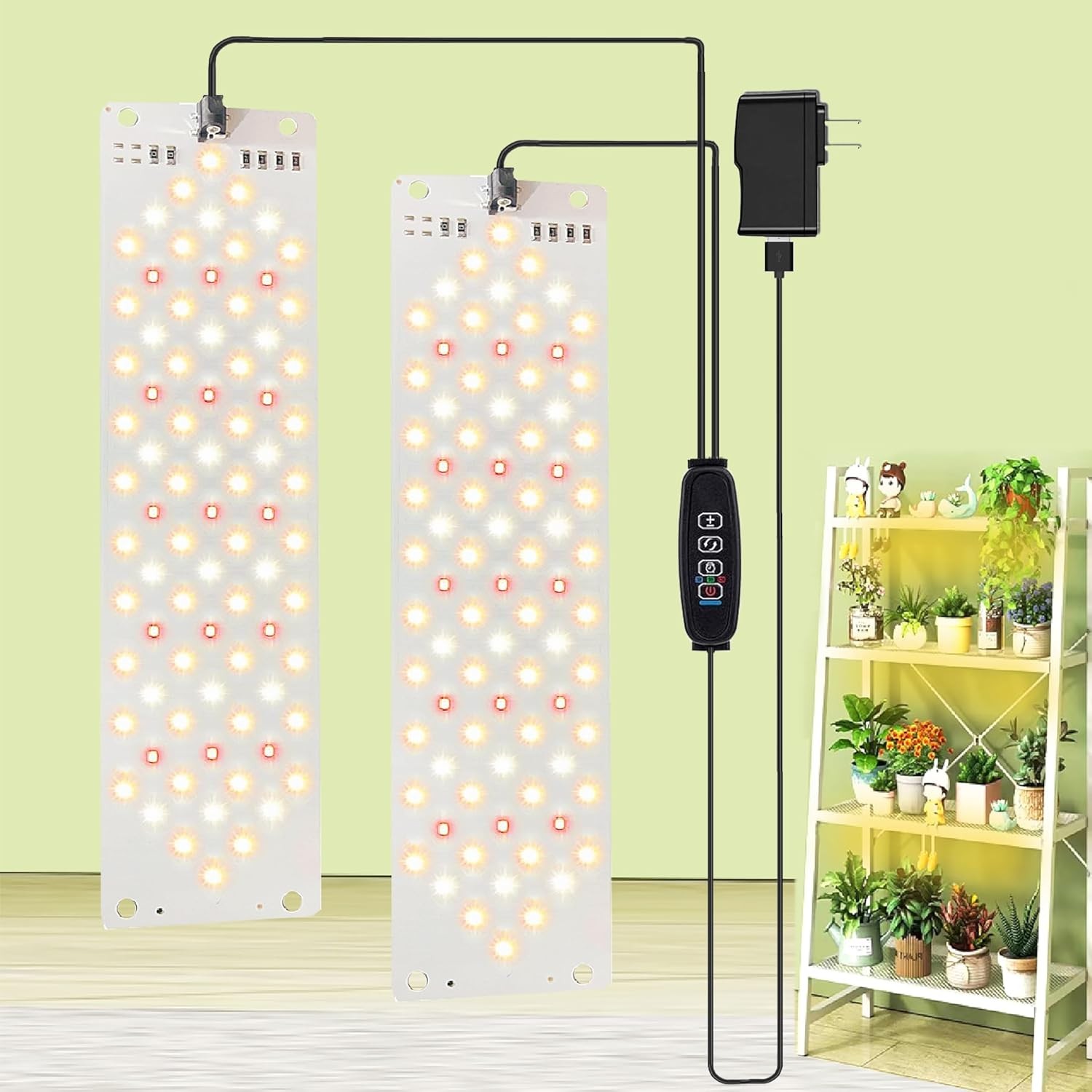 For Indoor Plants