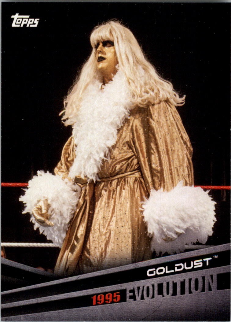 2018 Topps WWE Evolution #E17 Goldust - WWE