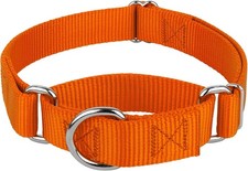 Martingale Heavy Duty Training Dog Collar