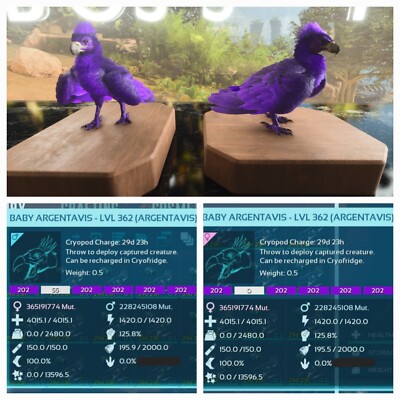 ARK ASCENDED PVE OFICIAL PAIR BABY ARGY ID202 SOLID HIGH STATUS  PS5/PC/XBOX