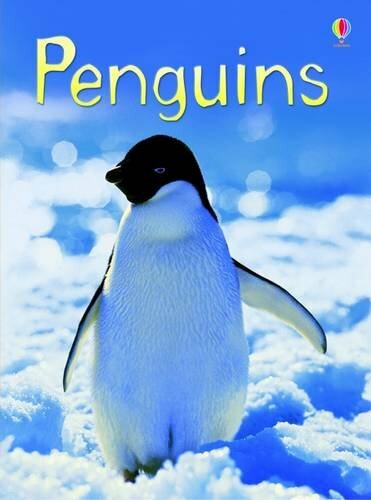 Penguins (Usborne Beginners)-Emily Bone