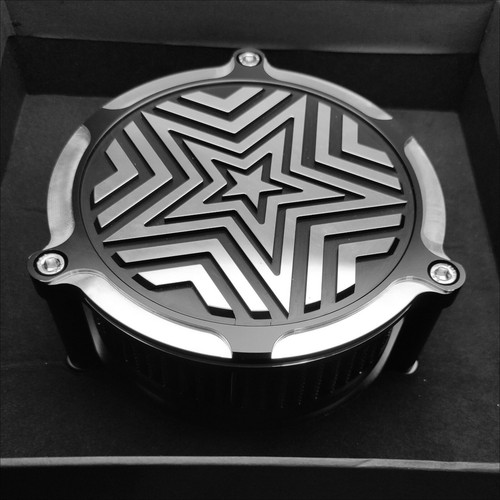 Fit for Harley 2007-21 SPORTSTER IRON XL883N C L R XL1200N X48 V72 Air Cleaners - Imagen 4 de 8