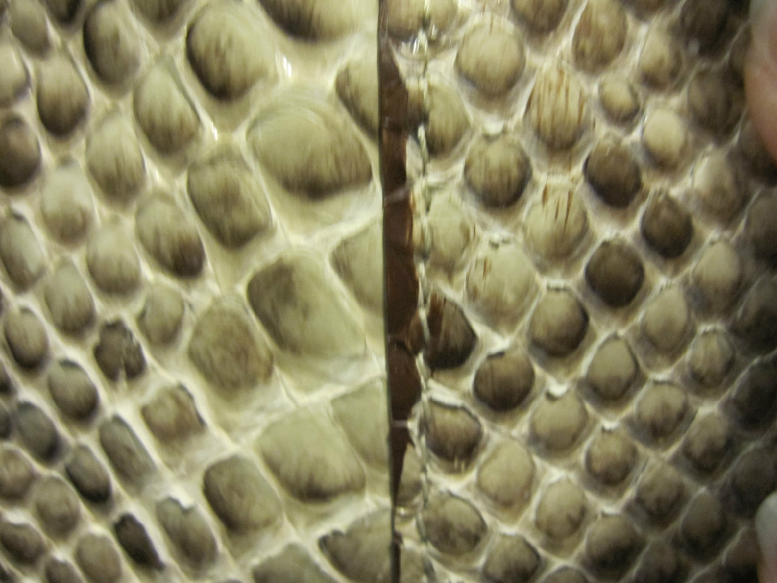 menotti python handbag tan, brown, neutral, tote - image 2