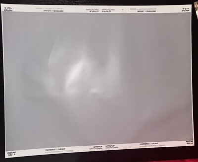 Vintage Pantone by Letraset Letrafilm Color/Tint Overlay 422-A   26x20