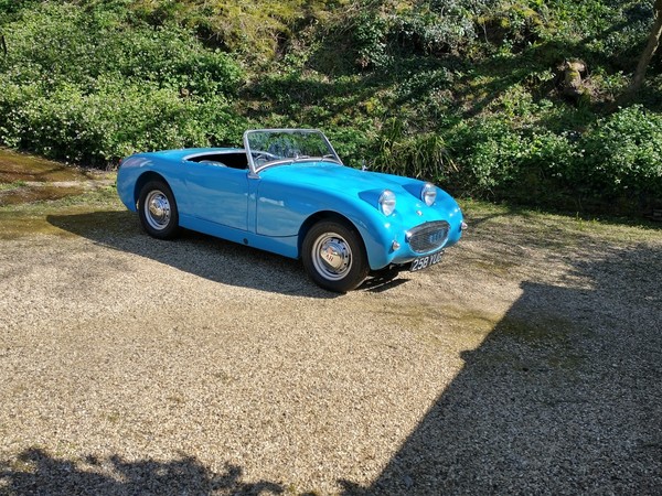 Image Placeholders2_edited.jpg