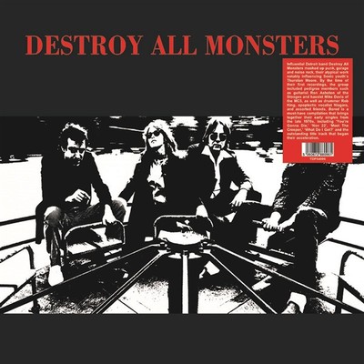 Destroy All Monsters: Destroy All Monsters ('91 UK Punk Vinyl Reiusse)