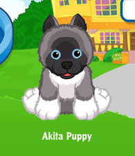 Webkinz Akita Puppy Virtual PET Adoption Code Only Messaged Webkinz Promo Code 