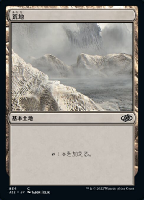 MTG 荒地　プロモ　10枚 mtg 荒地プロモ10枚セット