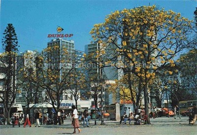 Curitiba Parana Brazil Praca Tiradentes