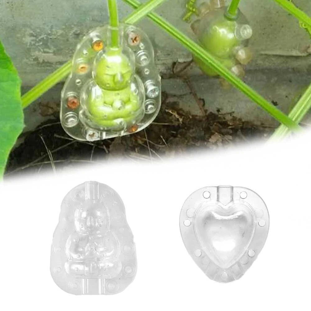 Fruit shaper sale