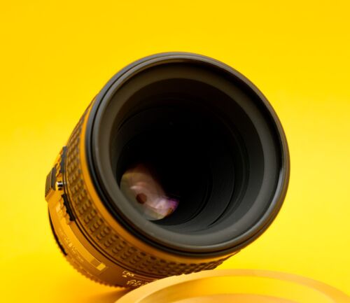 Nikon Micro-NIKKOR Objektiv 60 mm f/2,8 CRC D AF - Bild 2 von 5