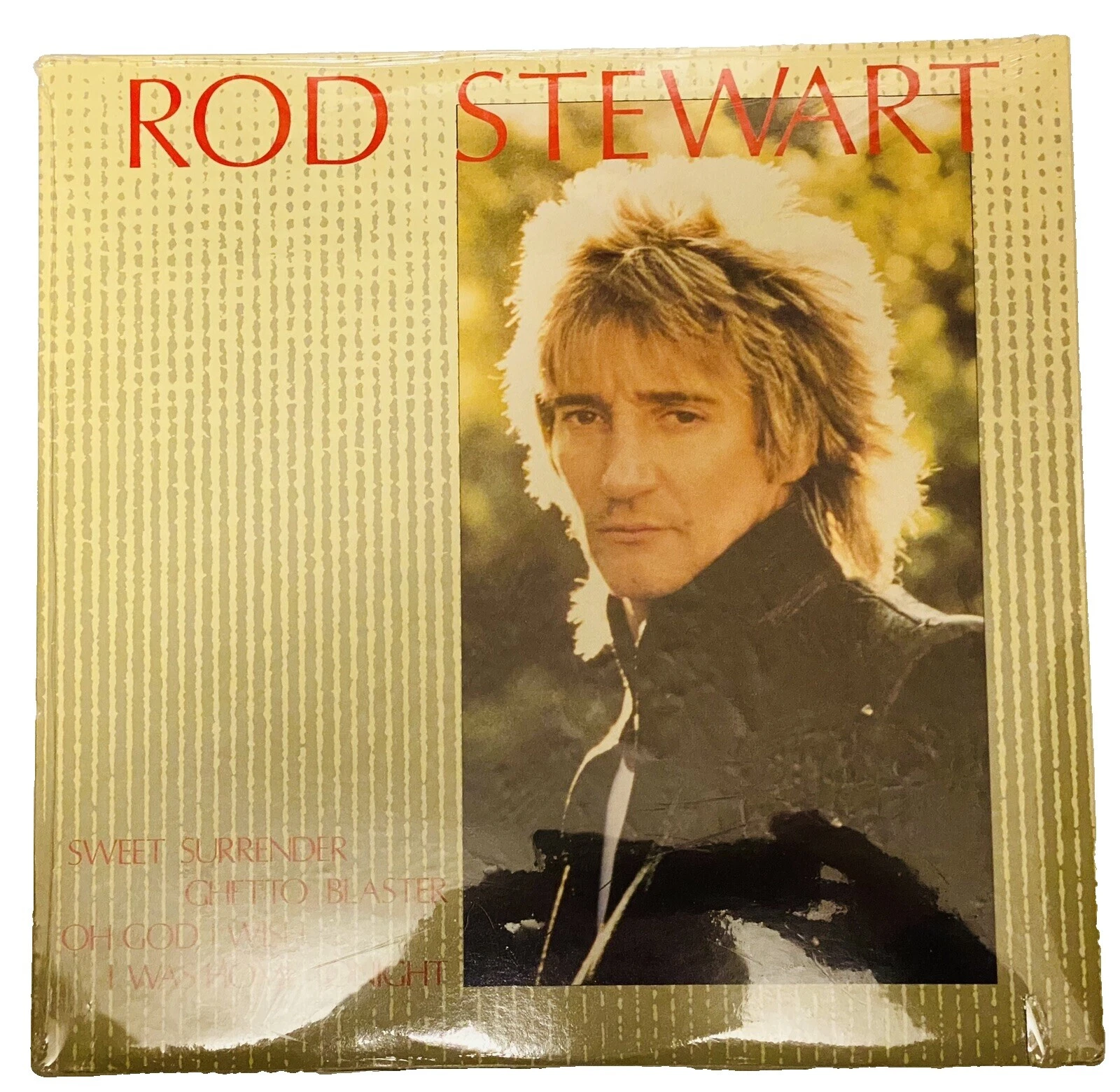 Discos de vinilo Rod Stewart