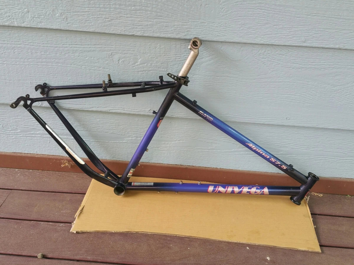 Univega 2024 chromoly bike