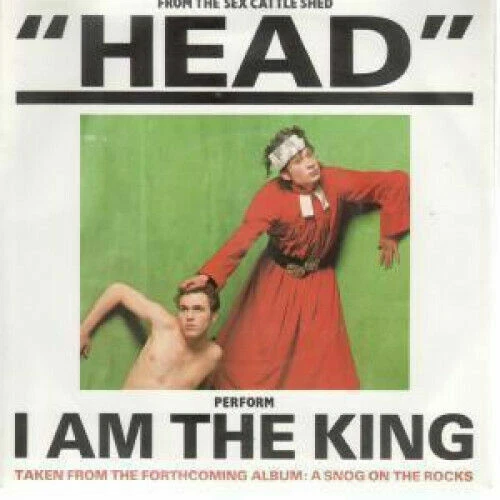 45 RPM Vinyl Records Lou Reed