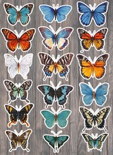 Butterflies Die Cut Vinyl Stickers Set Scrapbooking Laptop Waterbottle