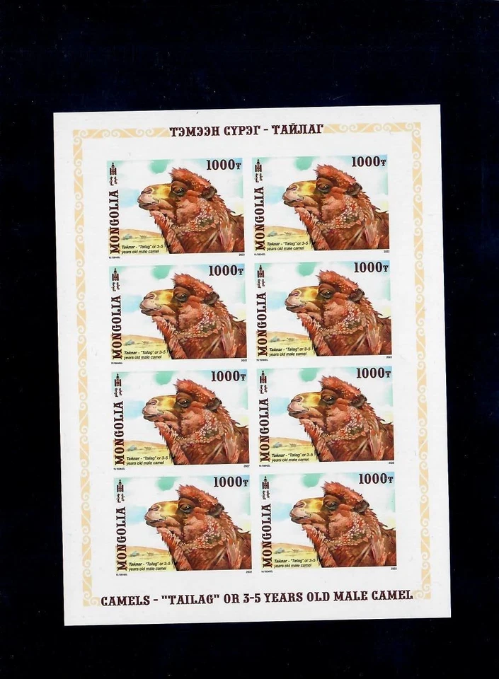 Hoja completa Camellos Imperf - Mongolia 2022 MNH Foto 3 de 4