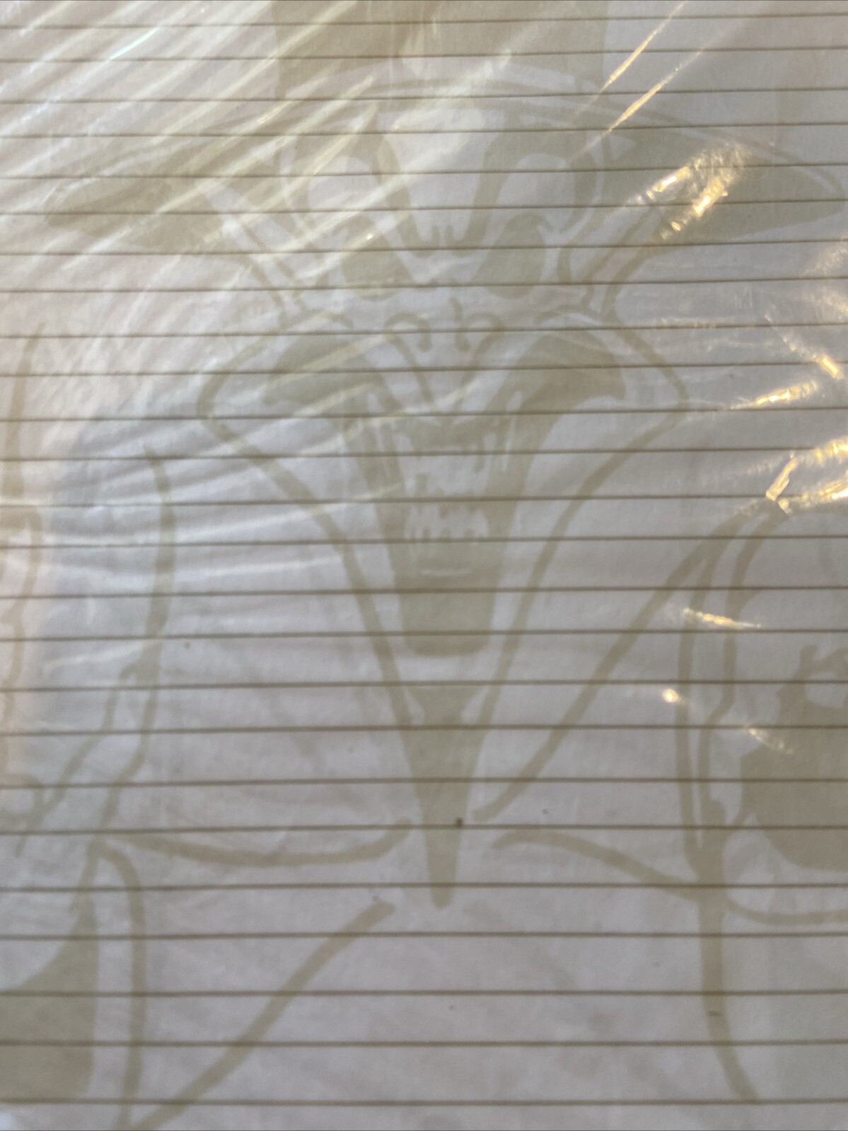 Insane Clown Posse The Ringmaster 3-Ring Binder Paper NECA ICP Hot Topic 2004