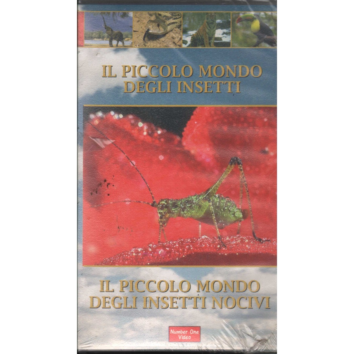 Il Piccolo Mondo Degli Insectti Nocivi VHS Sergio Pellegrini Univideo - NO639...