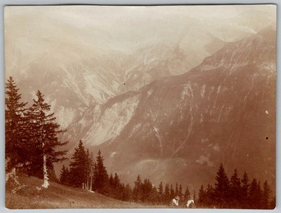 Vtg B&W Snapshot Two Men Hiking Scenic Alpine Mountain Landscape Forest 1920s