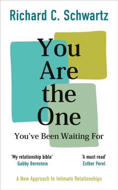 You Are the One You’ve Been Waiting For by Richard Schwartz (Paperback Book)