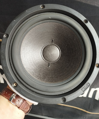 1x Canton Tieftöner Woofer Nr. 2898  für Canton Karat 100  und evt. andere