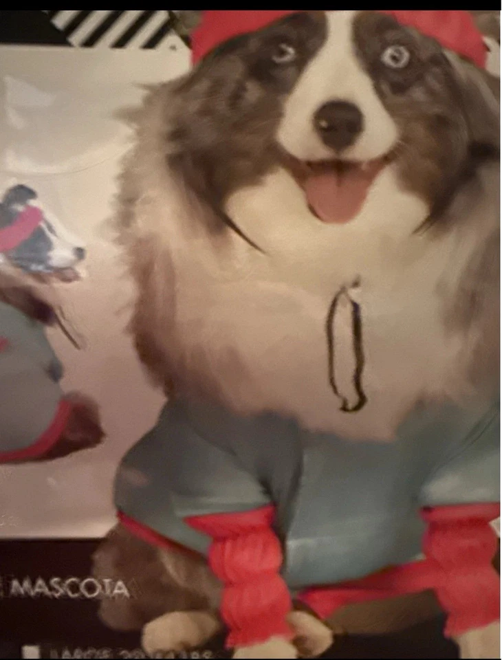 Barbie Aeróbicos 2 Piezas Disfraz Perro Tamaño: Pequeño Animal Mascota Halloween Foto 2 de 4