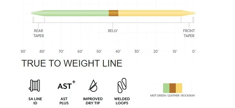 Scientific Anglers 振幅光滑双锥飞线 - DT4F - 144278 — 第 2/3 张图片