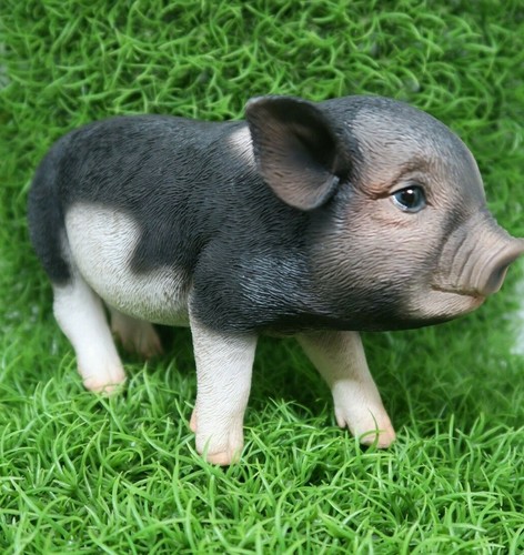 PIG STANDING MINI FARM ANIMAL GARDEN STATUE ORNAMENT FIGURINE BLACK AND WHITE - Bild 4 von 8