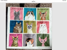 NEW Home Goods Lg Shopping Bag 9 Cat Breeds Reusable Tote